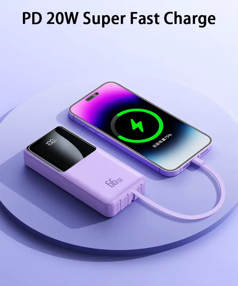 VEN-DENS Multi-Cable Power Bank